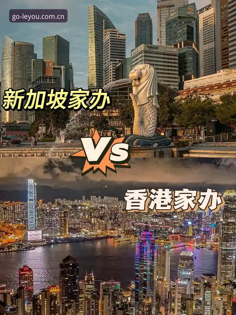 乐游体育注册 vs 官网入口对比：哪个更适合2024新用户？