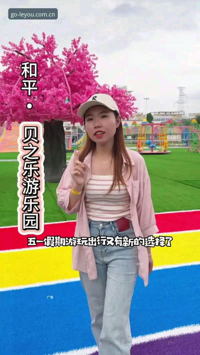乐游体育平台2024登录入口详解：选择官方渠道的五大关键因素