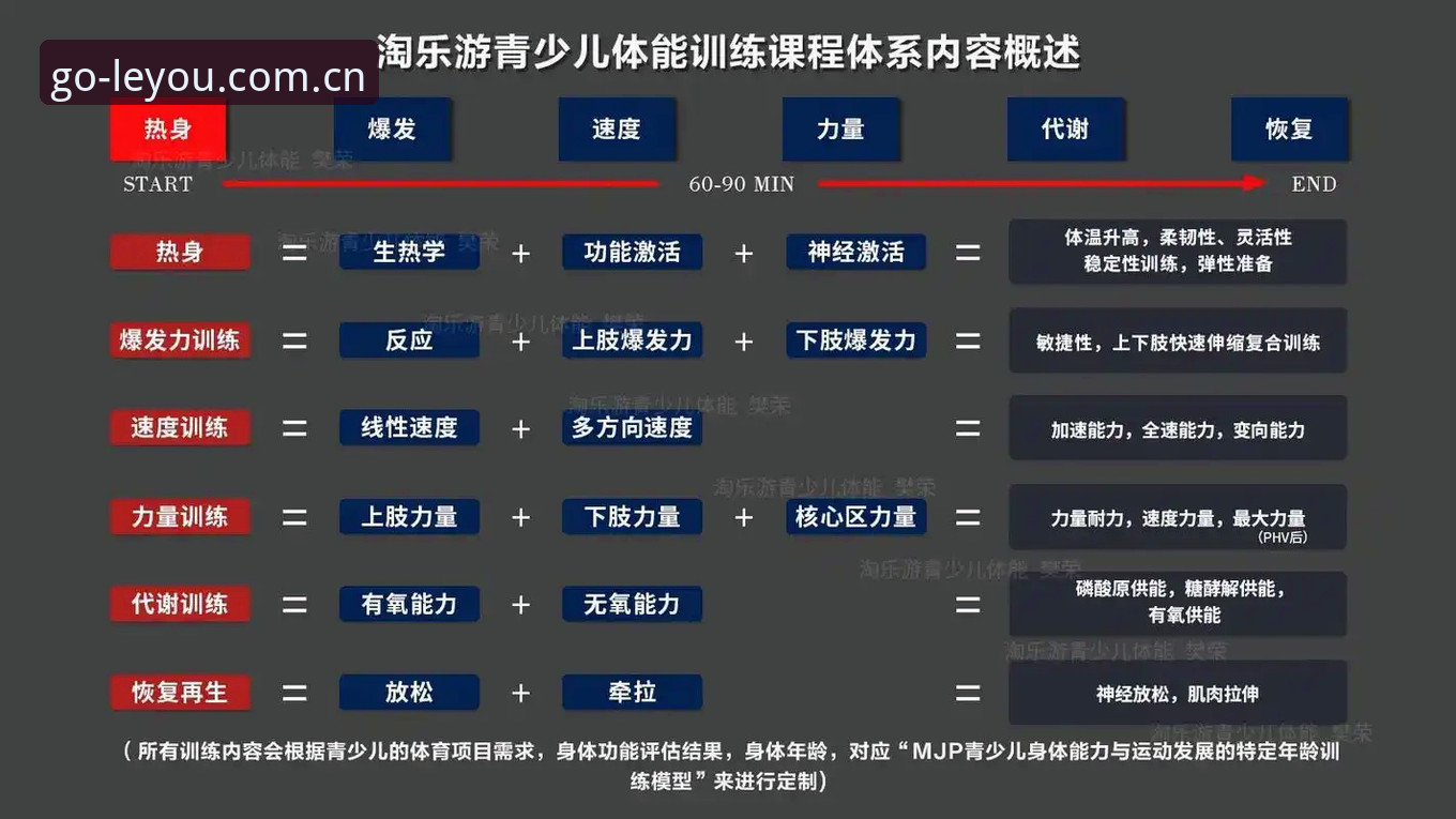 乐游体育平台2024登录入口详解：选择官方渠道的五大关键因素